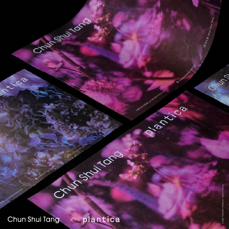 春水堂xPlantica_官網_周邊800x800 複本 12